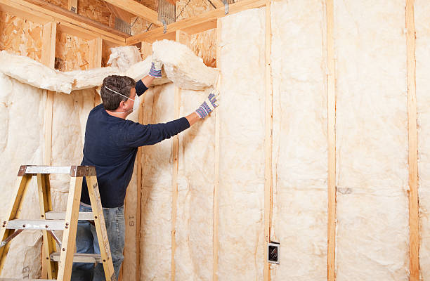 Types of Insulation We Offer in North Augusta, SC